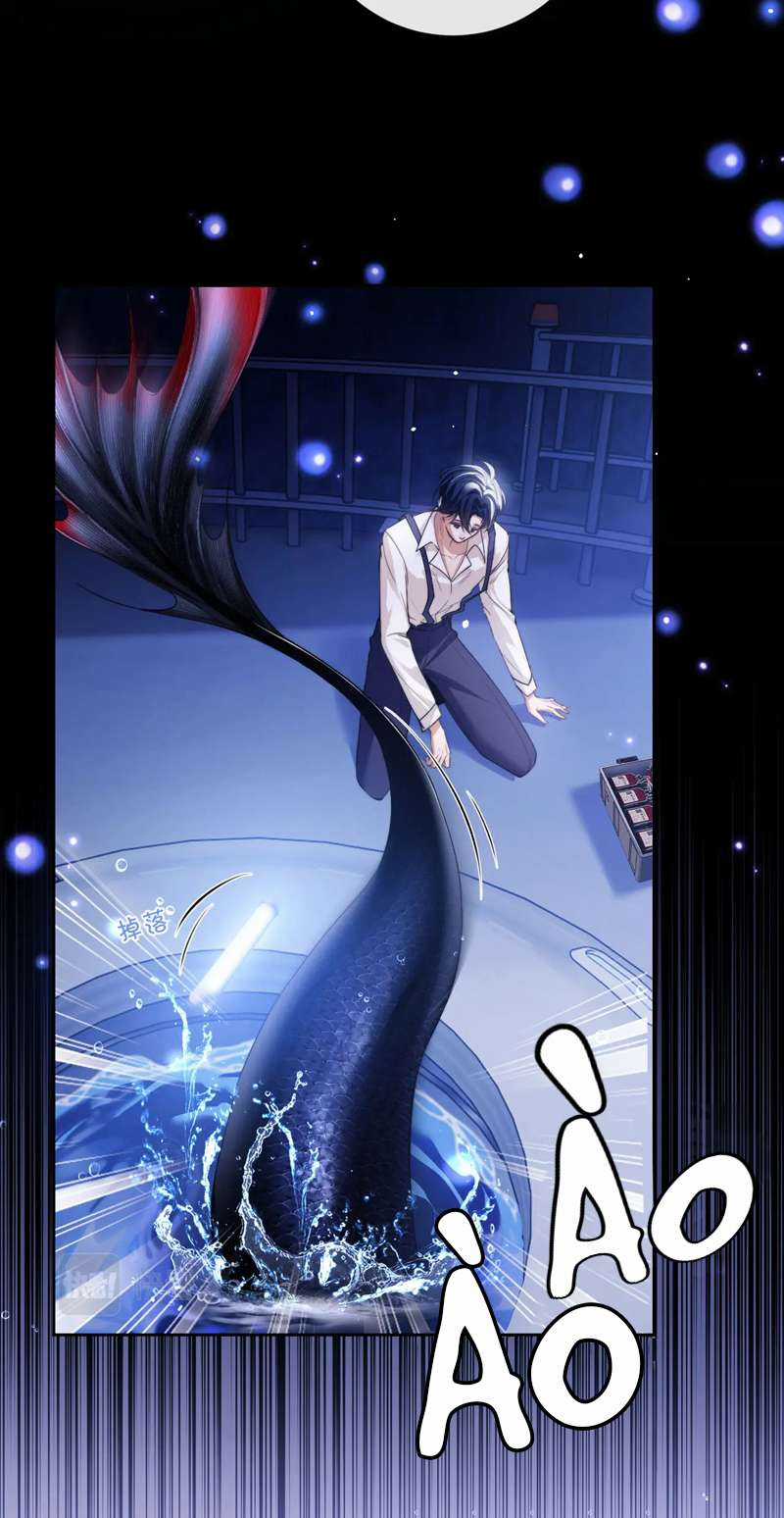 Desharow Nhân Ngư - Chapter 5 - Trang 14