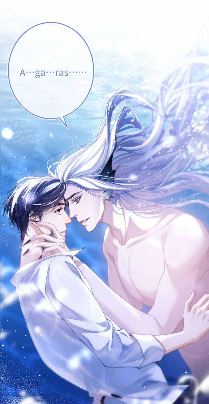 Desharow Nhân Ngư - Chapter 5 - Trang 25