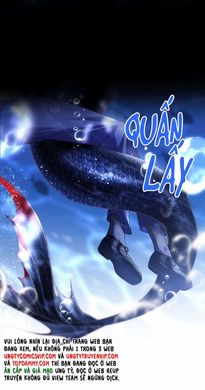 Desharow Nhân Ngư - Chapter 5 - Trang 48
