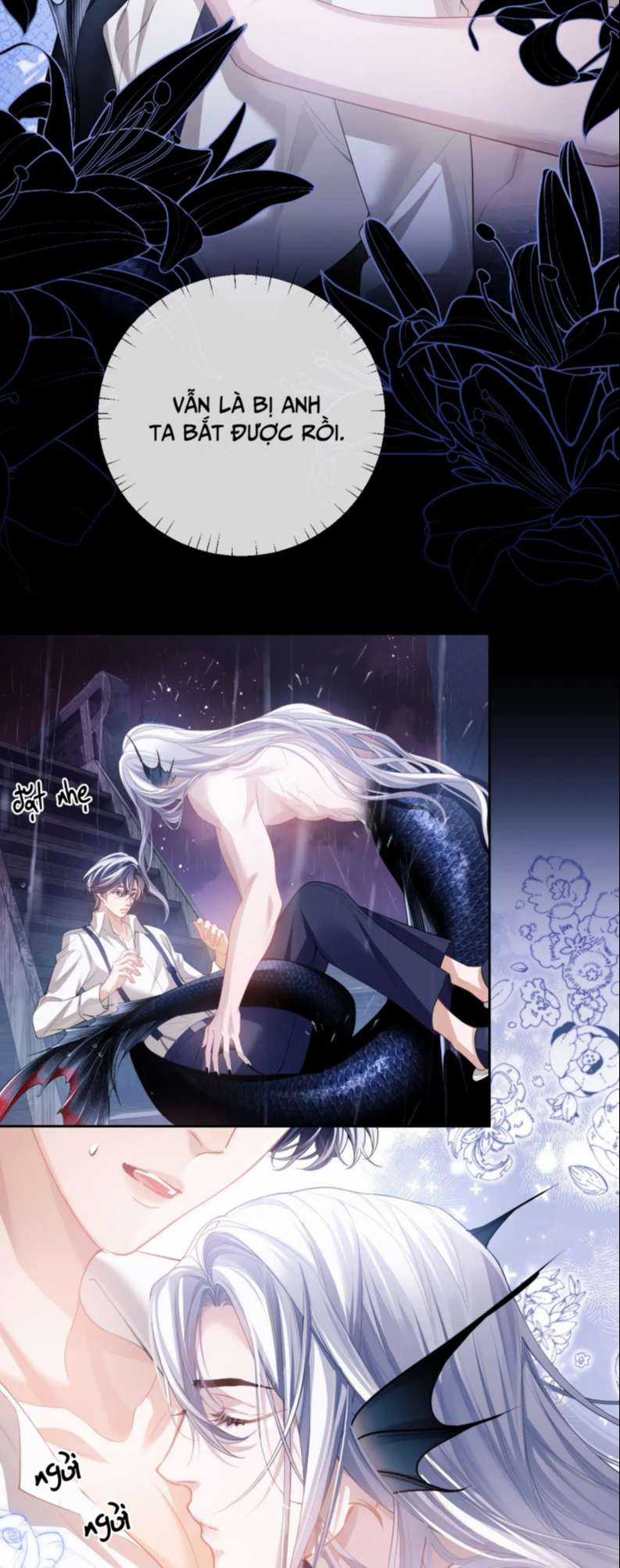 Desharow Nhân Ngư - Chapter 6 - Trang 31