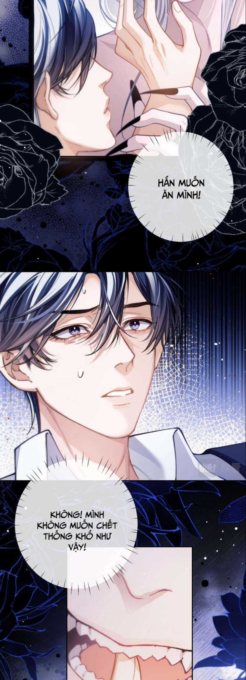 Desharow Nhân Ngư - Chapter 7 - Trang 12