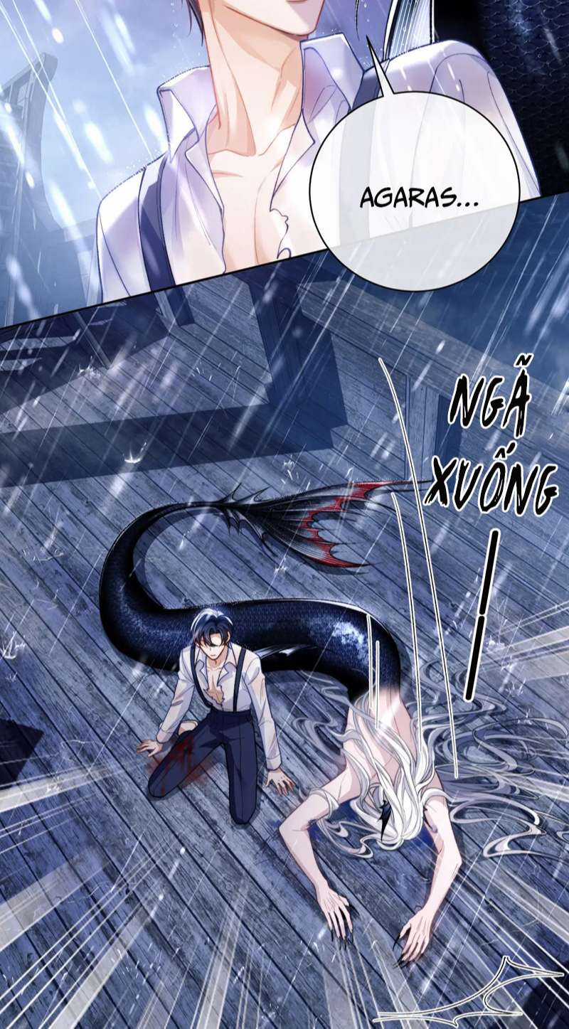 Desharow Nhân Ngư - Chapter 8 - Trang 16