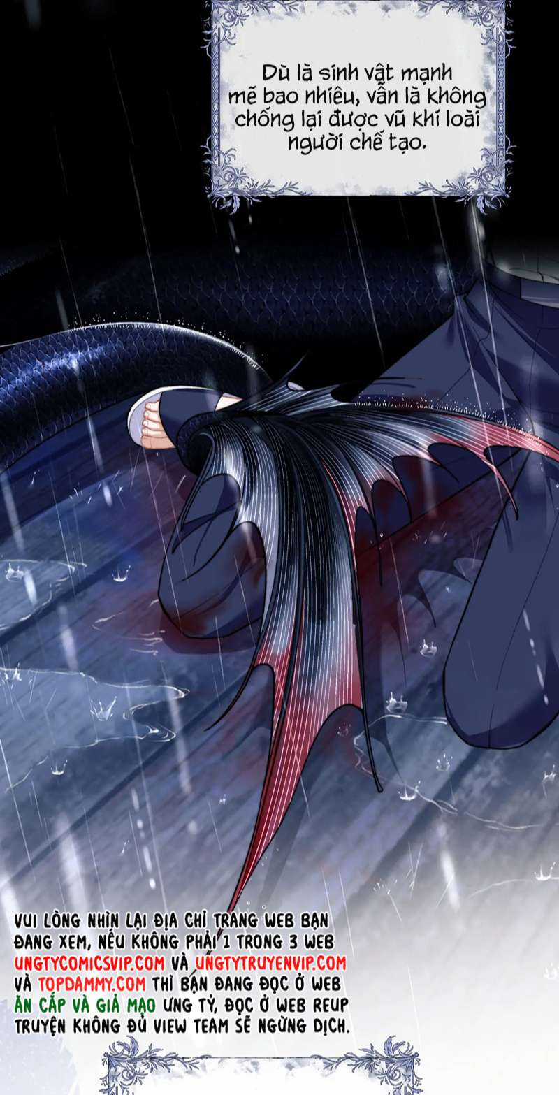 Desharow Nhân Ngư - Chapter 8 - Trang 22