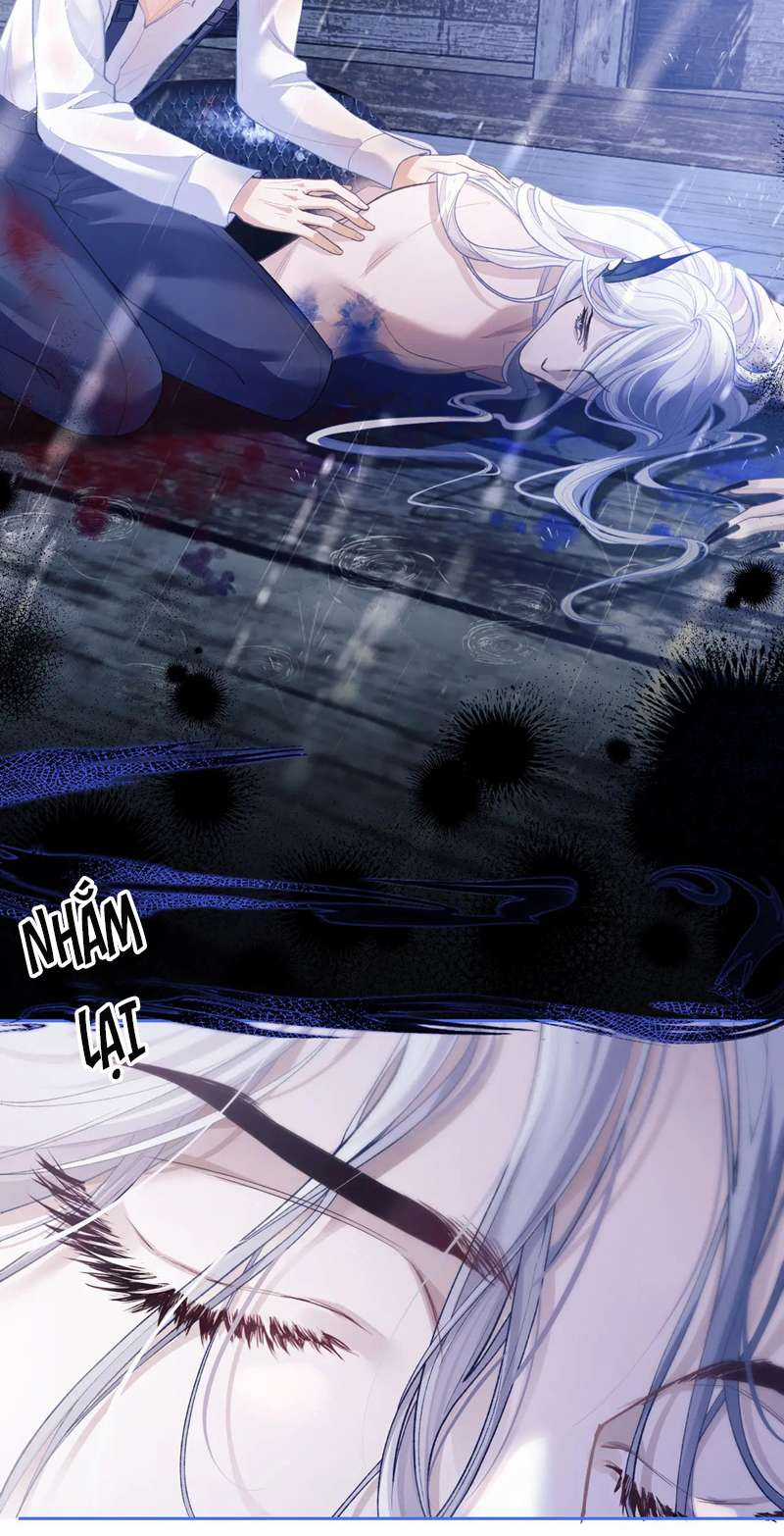 Desharow Nhân Ngư - Chapter 8 - Trang 36