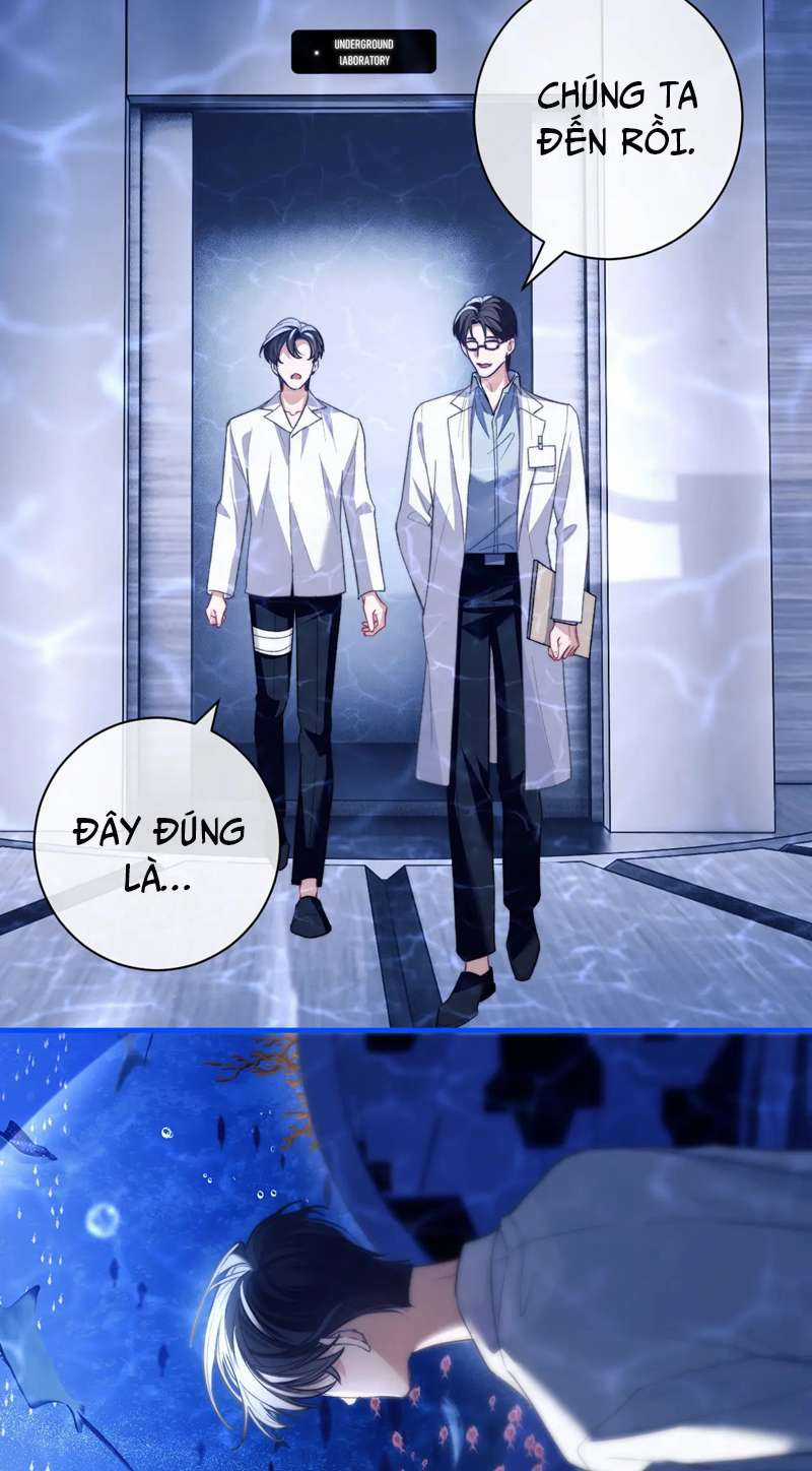 Desharow Nhân Ngư - Chapter 9 - Trang 19