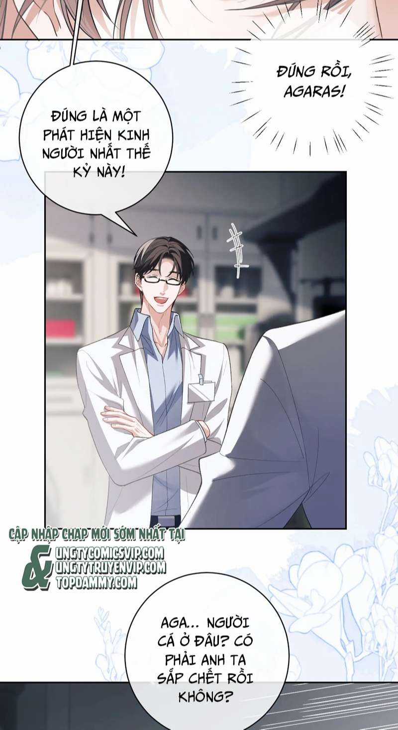 Desharow Nhân Ngư - Chapter 9 - Trang 24