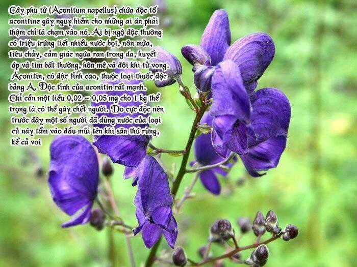 Detective Academy Q - Chapter 57 - Trang 26