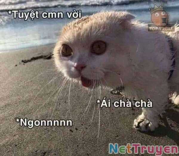 Dị Giới Thất Cách - Chapter 17 - Trang 2