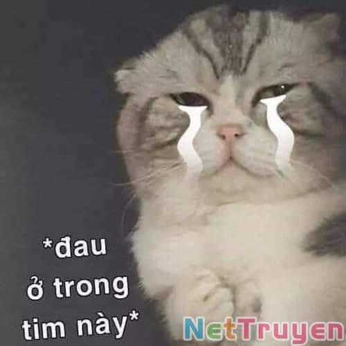 Dị Giới Thất Cách - Chapter 17 - Trang 20