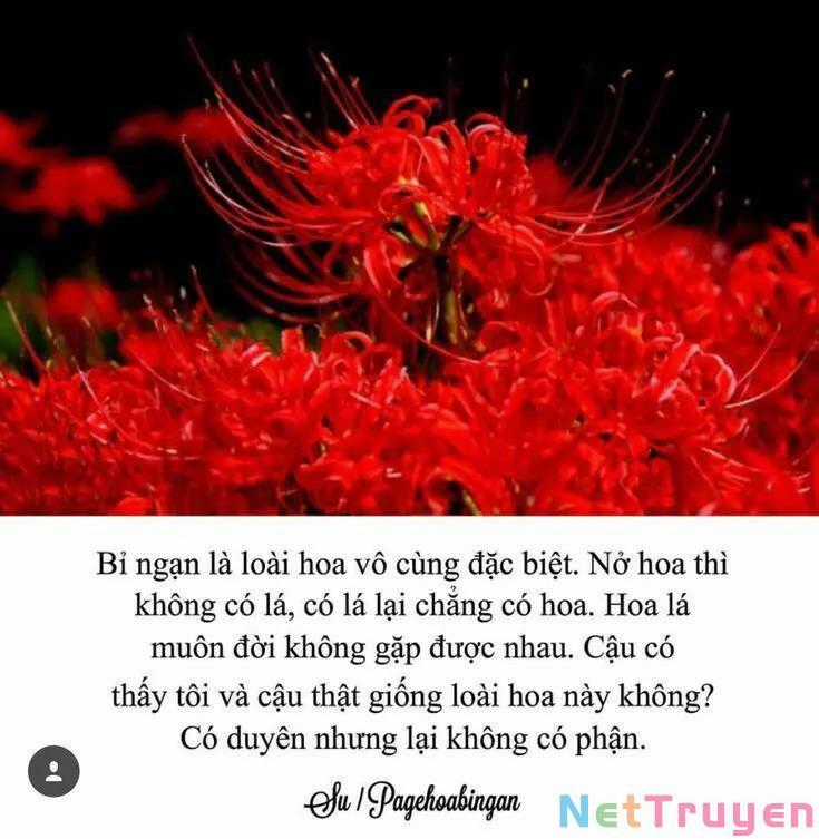 Dị Giới Thất Cách - Chapter 19 - Trang 28