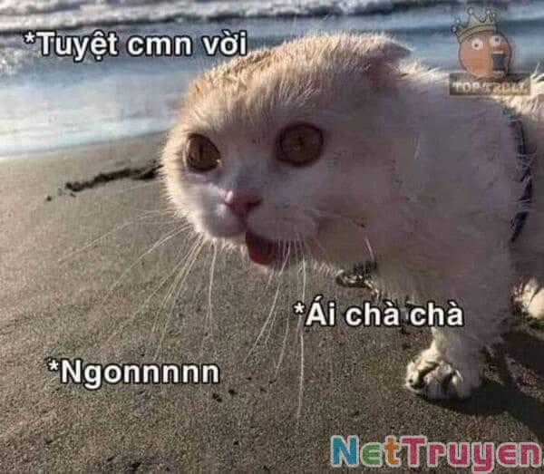 Dị Giới Thất Cách - Chapter 21 - Trang 28