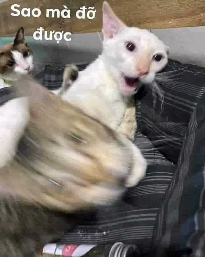 Dị Giới Thất Cách - Chapter 23 - Trang 2