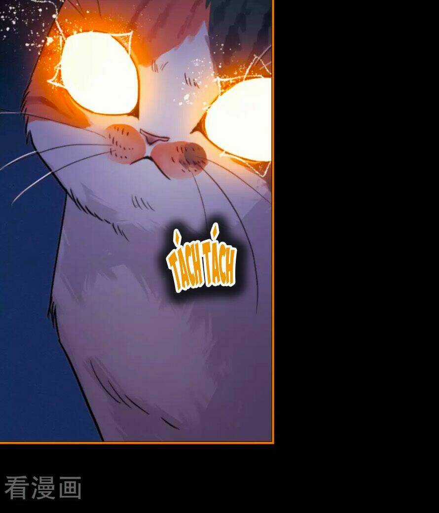 Địa Ngục Cáo Bạch Thi - Chapter 84 - Trang 21