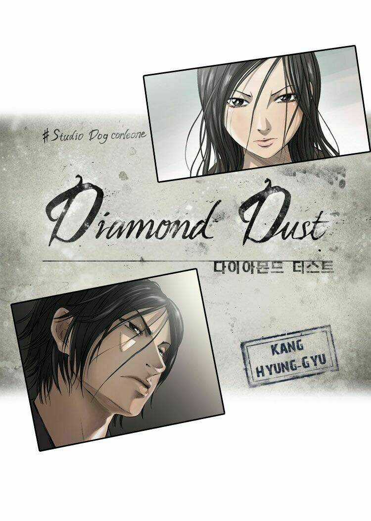 Diamond Dust - Chapter 1 - Trang 1
