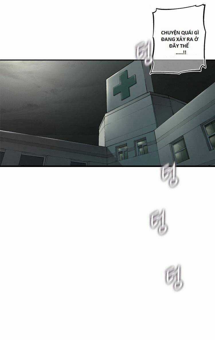 Diamond Dust - Chapter 12 - Trang 51