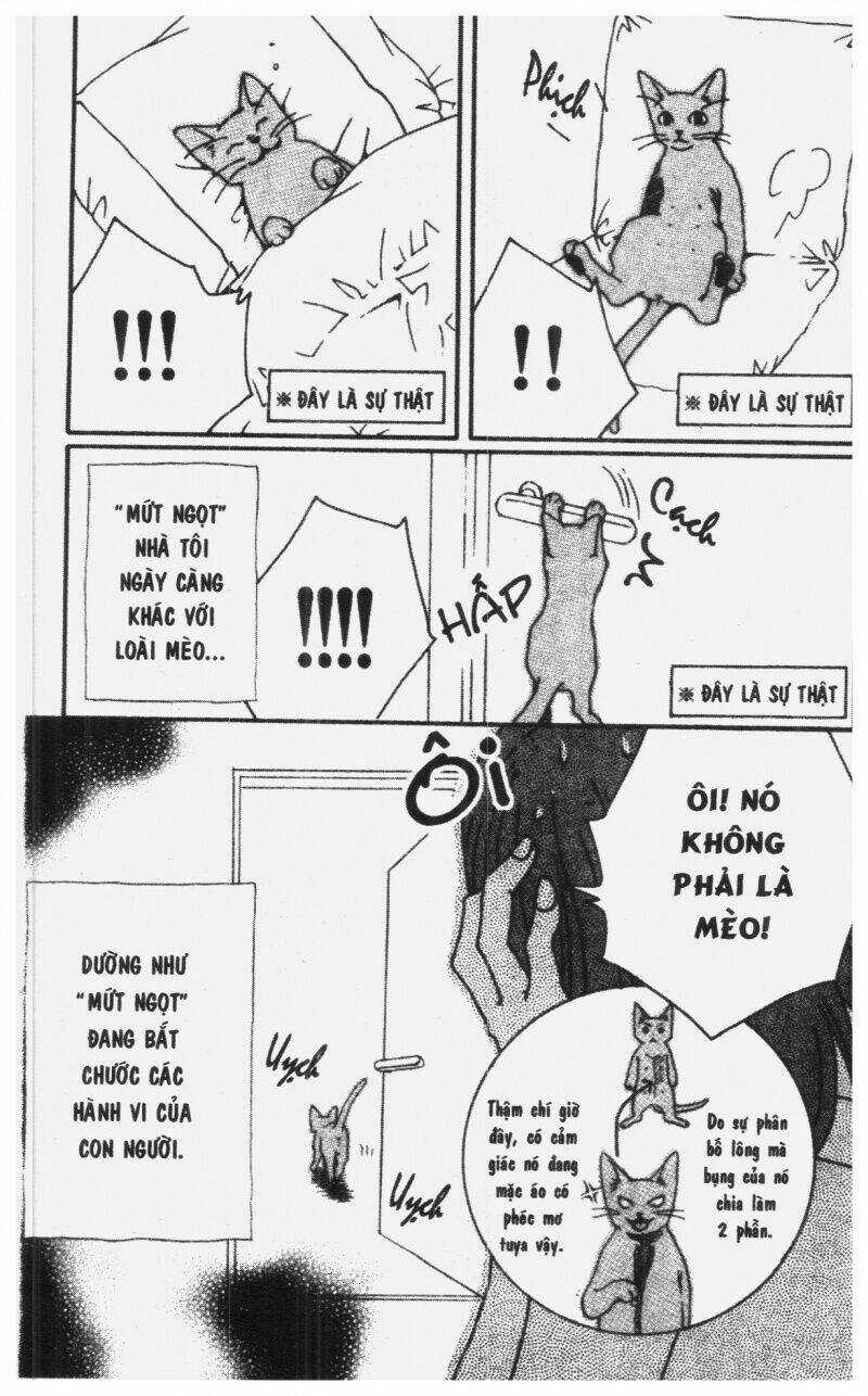 Diamond Head - Chapter 2 - Trang 185