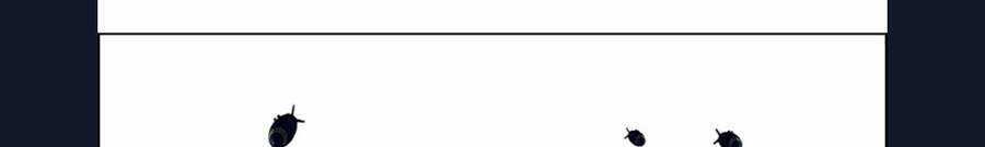 Dice - Chapter 336 - Trang 78