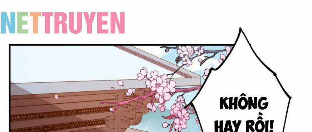 Đích Nữ Kiều Phi - Chapter 12 - Trang 17