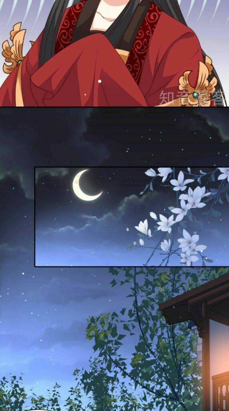 Đích Nữ Kiều Phi - Chapter 46 - Trang 8