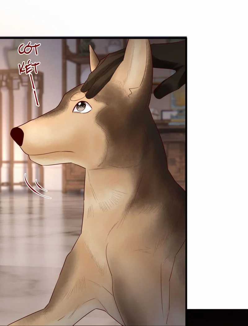 Diễn Giả Làm Thật - Chapter 71 - Trang 27