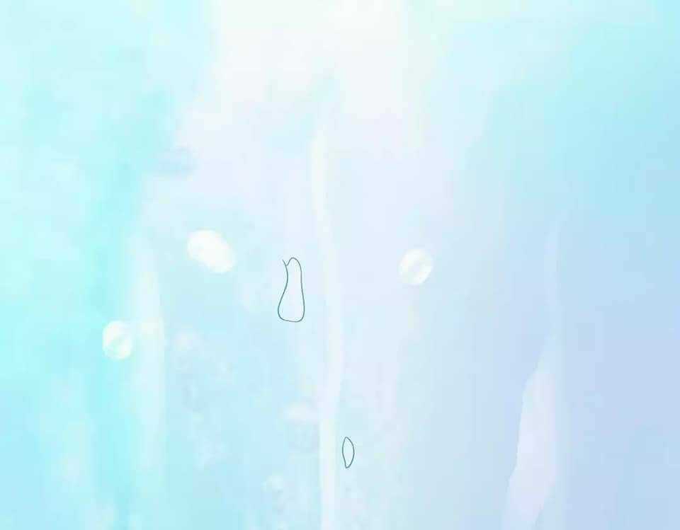 Điệp Hóa - Chapter 0 - Trang 5