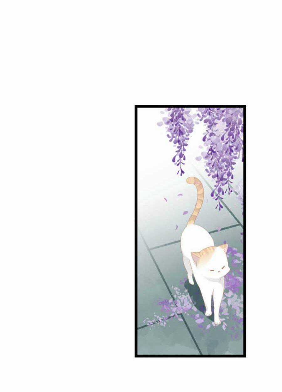 Điều Hương Vương Phi - Chapter 23 - Trang 5