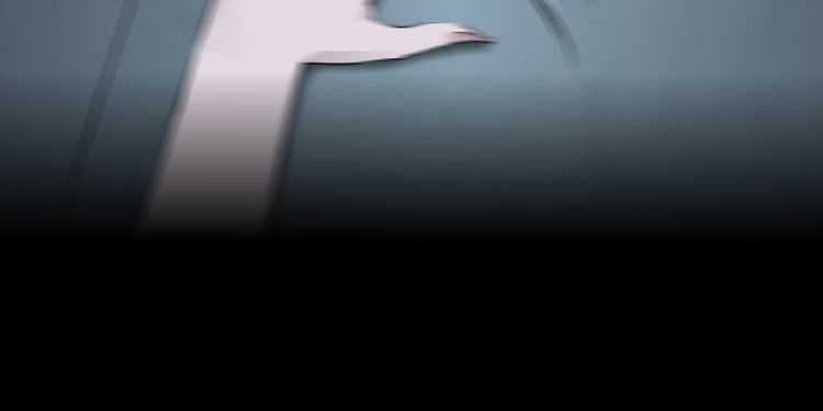 Điêu Khắc - Chapter 1 - Trang 43