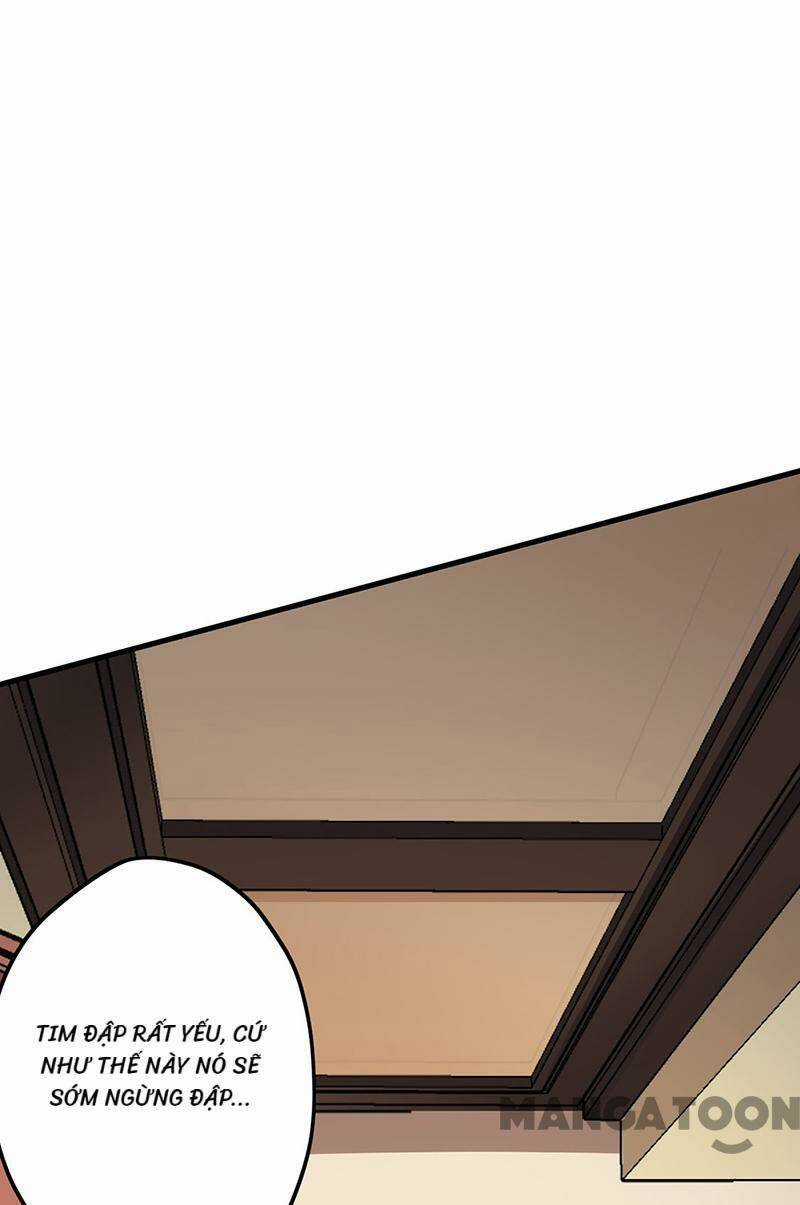 Diệu Thủ Cuồng Y - Chapter 242 - Trang 23