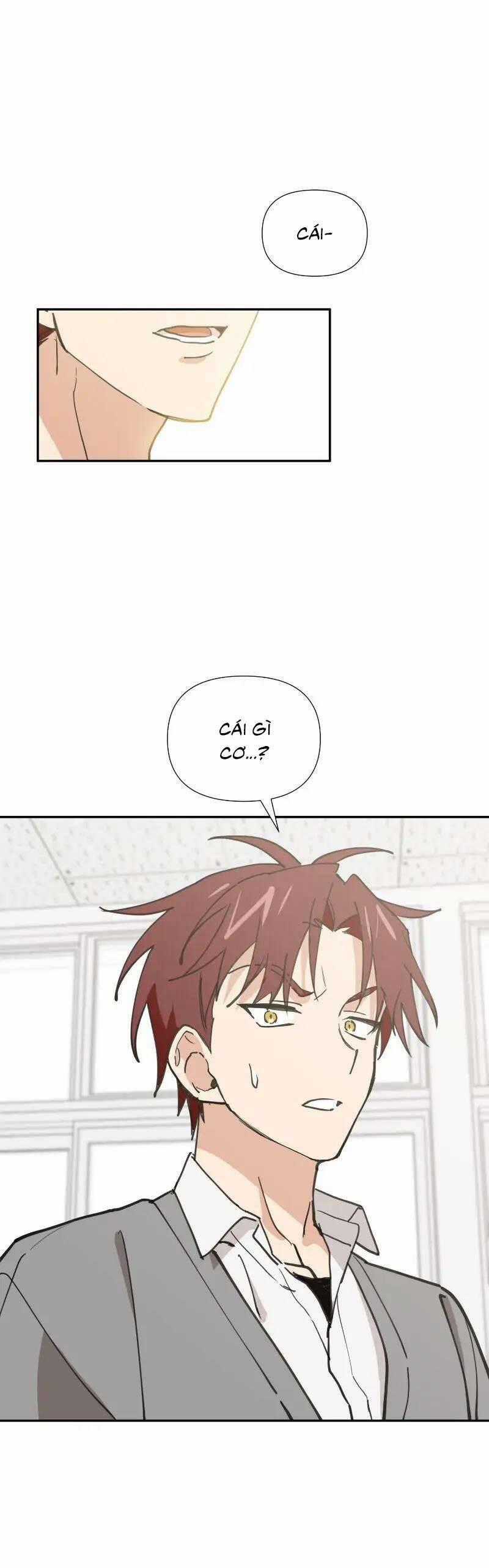 Điều Ước Sao Băng - Chapter 10 - Trang 2