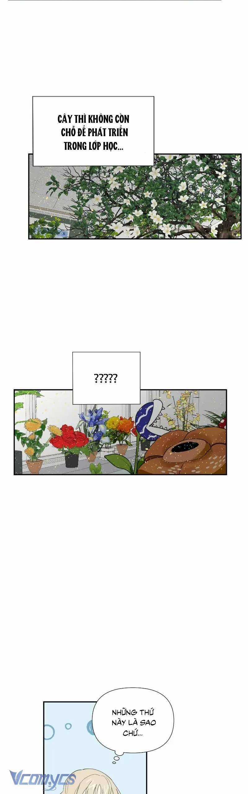 Điều Ước Sao Băng - Chapter 11 - Trang 3