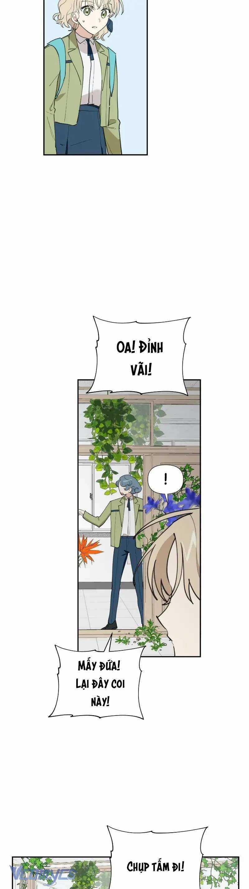 Điều Ước Sao Băng - Chapter 11 - Trang 4