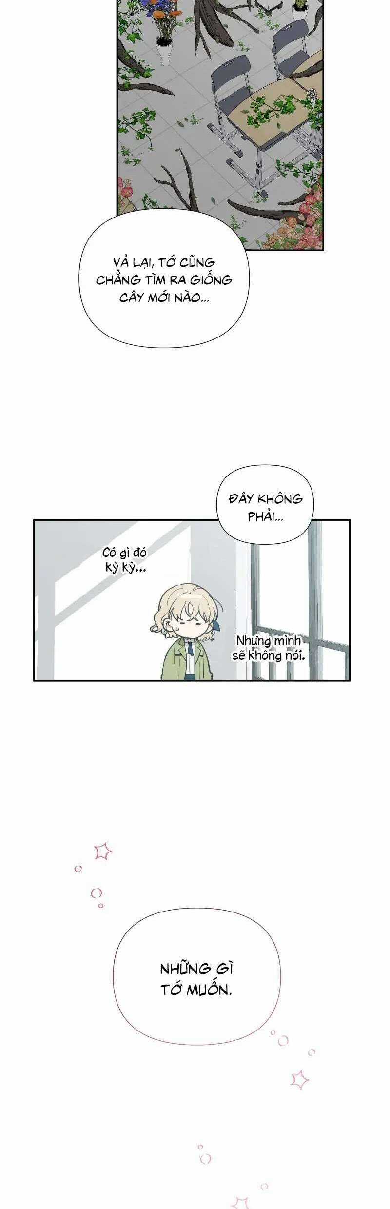 Điều Ước Sao Băng - Chapter 11 - Trang 33