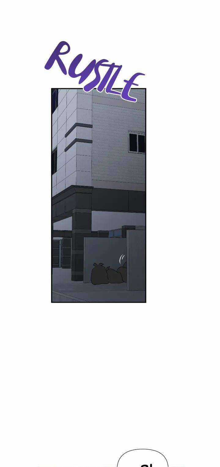 Điều Ước Sao Băng - Chapter 17 - Trang 33