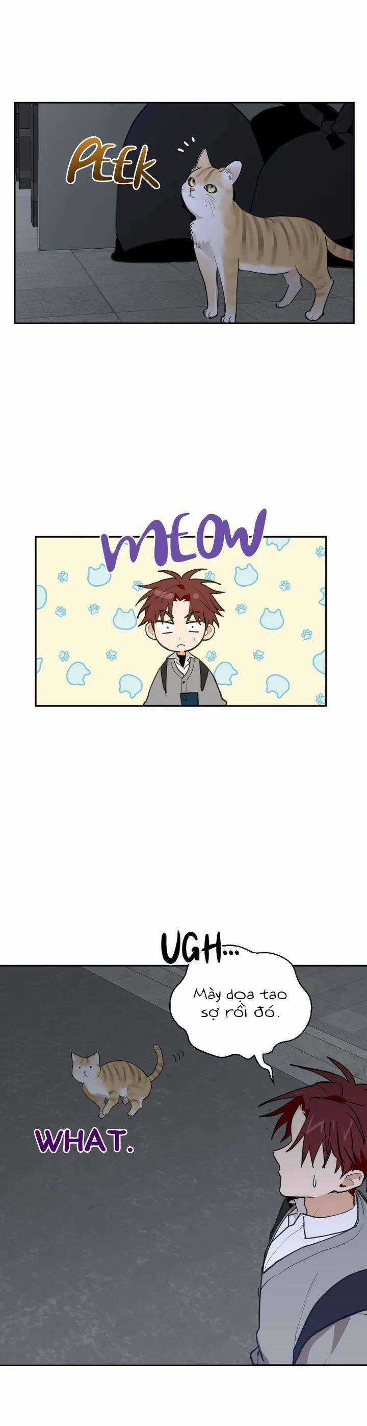 Điều Ước Sao Băng - Chapter 18 - Trang 4