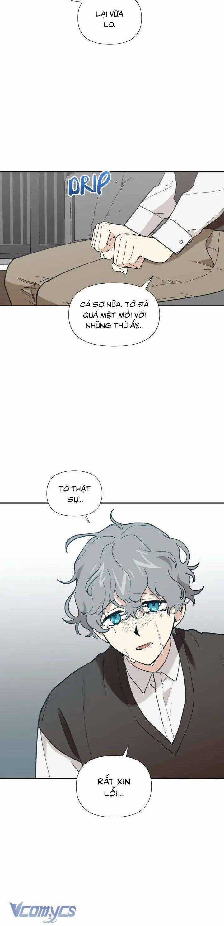 Điều Ước Sao Băng - Chapter 26 - Trang 3