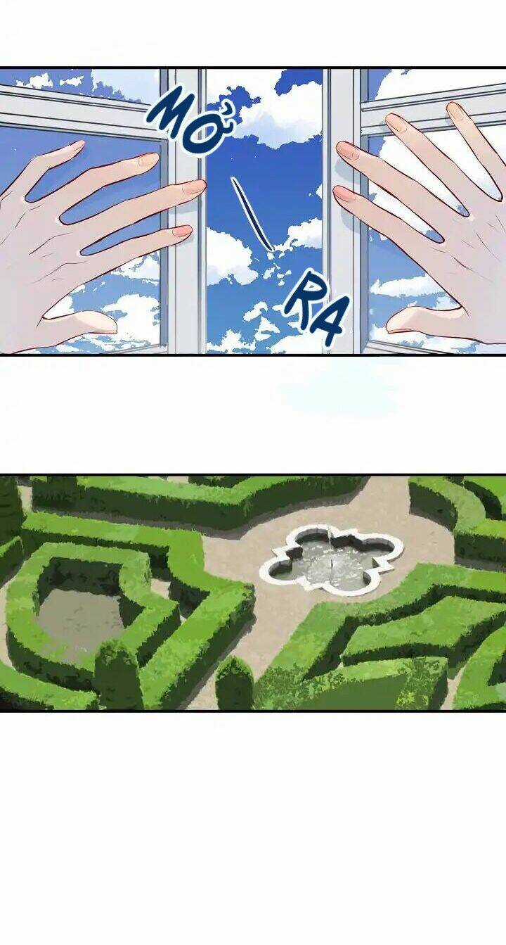 Điều Ước Tuyệt Vời - Chapter 2 - Trang 46