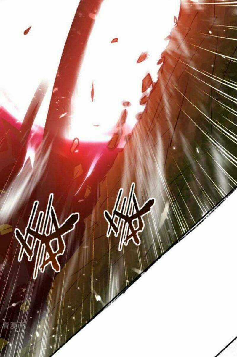 Đỉnh Cấp Võ Hồn - Chapter 128 - Trang 11