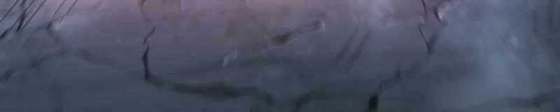 Đỉnh Phong Chi Tinh - Chapter 9 - Trang 130