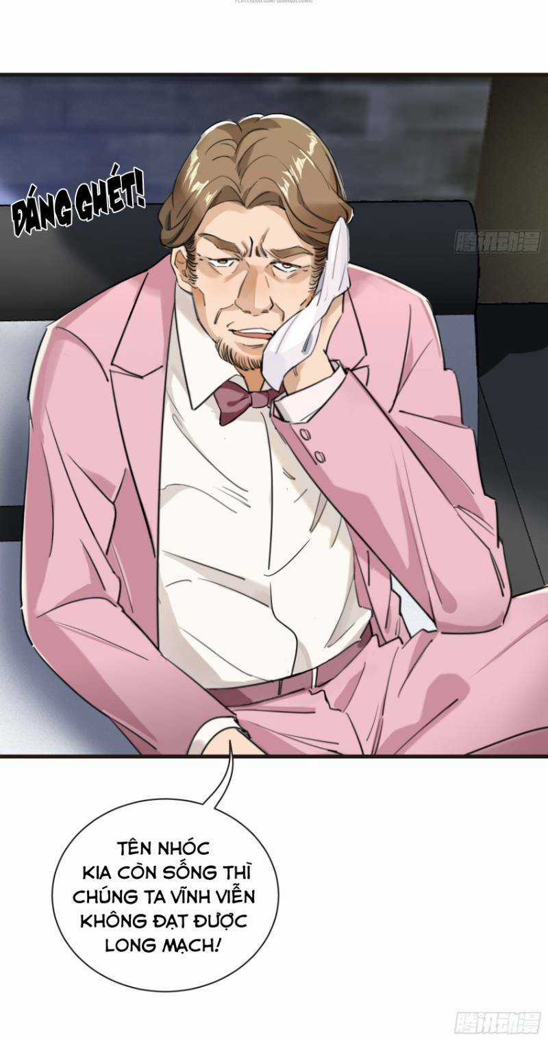 Đỉnh Phong Cường Thiếu - Chapter 26 - Trang 4