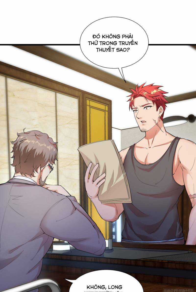 Đỉnh Phong Cường Thiếu - Chapter 4 - Trang 19