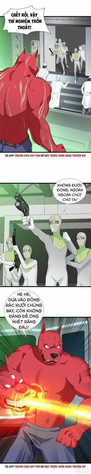 Đỉnh Phong Cường Thiếu - Chapter 55 - Trang 12