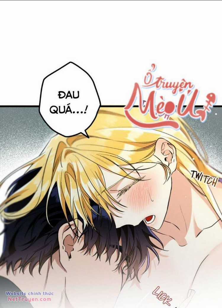 Dinh Thự Của Dã Thú - Chapter 29 - Trang 8