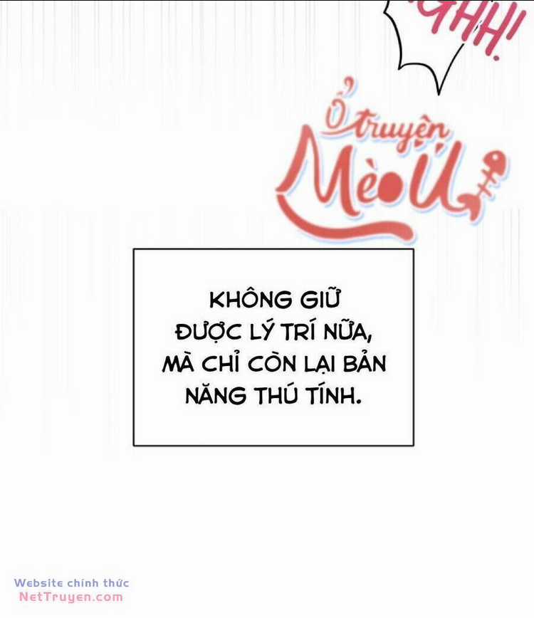 Dinh Thự Của Dã Thú - Chapter 41 - Trang 14