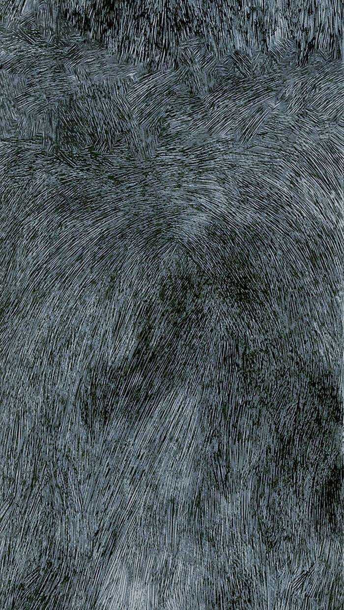 Distant Sky 1 - Chapter 0 - Trang 4