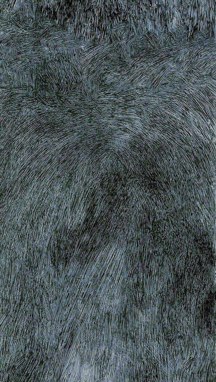 Distant Sky - Chapter 0 - Trang 4