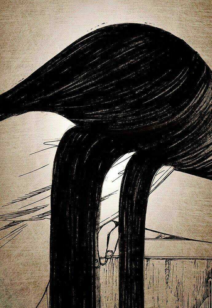 Distant Sky - Chapter 10 - Trang 42