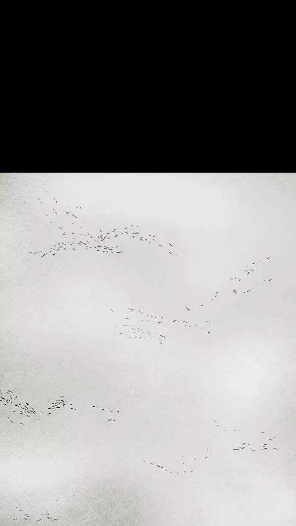 Distant Sky - Chapter 33 - Trang 65