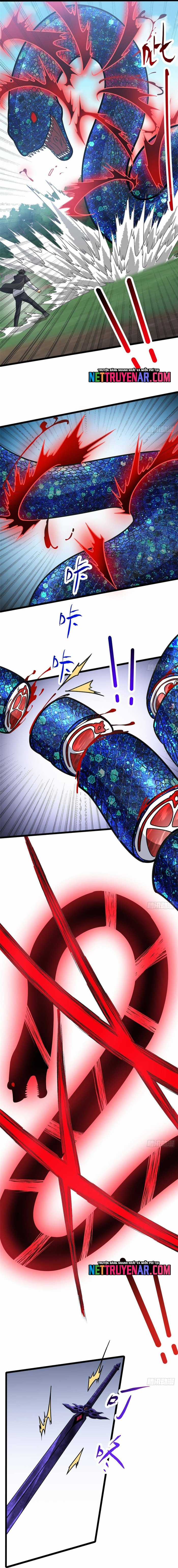 Đô Thị Cực Phẩm Y Thần - Chapter 300 - Trang 11