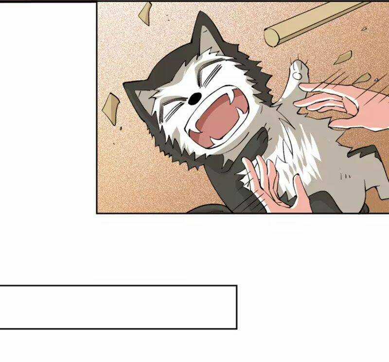 Đô Thị Đỉnh Phong Cao Thủ - Chapter 280 - Trang 6