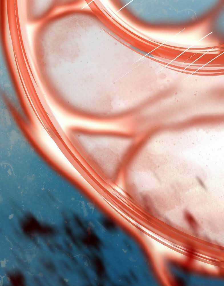 Đô Thị Siêu Cấp Thần Tôn - Chapter 1 - Trang 11